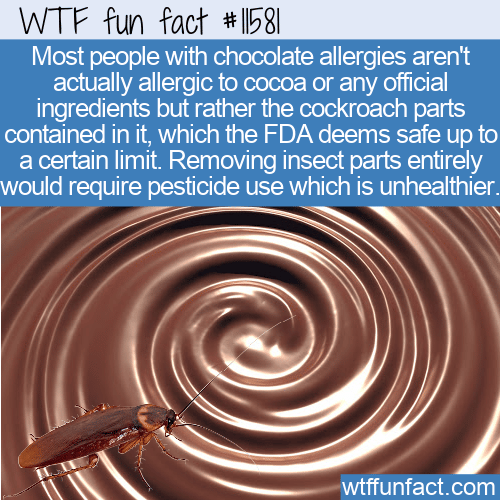 WTF Fun Fact - Allergic To Chocolate Or Cockroaches