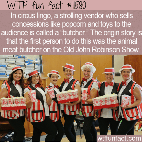 WTF Fun Fact - Circus Butcher