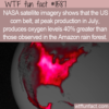 WTF Fun Fact – Corn Belt Vs Amazon