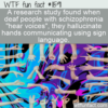 WTF Fun Fact – Deaf Hallucinations