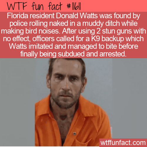 WTF Fun Fact - Donald Watts Florida Man