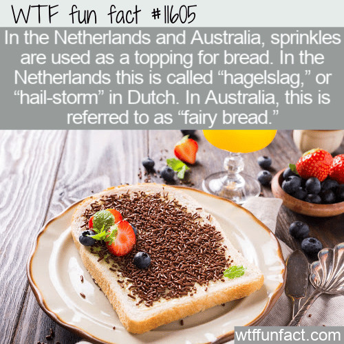 WTF Fun Fact - Fairy Bread And Hagelslag