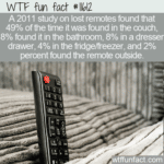 WTF Fun Fact - Missing Remote Study