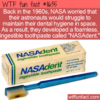 WTF Fun Fact – NASAdent