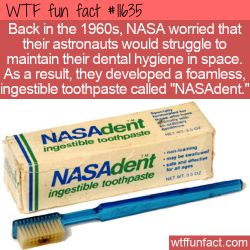 WTF Fun Fact - NASAdent