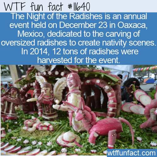 WTF Fun Fact - Noche de Rábanos