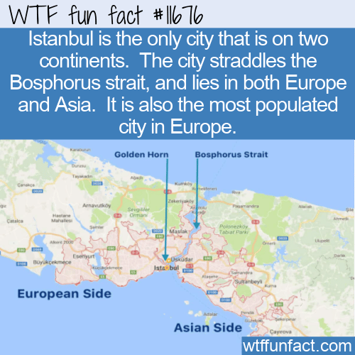 WTF Fun Fact - City On Two Continents