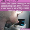 WTF Fun Fact – Pigs Playing Video Games