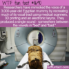 WTF Fun Fact – Reproduced A Mummy’s Voice