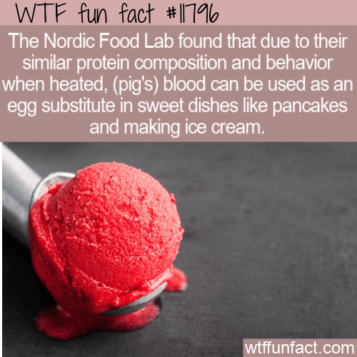 WTF Fun Fact - Blood As Egg Substitute