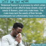 WTF Fun Fact Botanical Sexism 150x150 