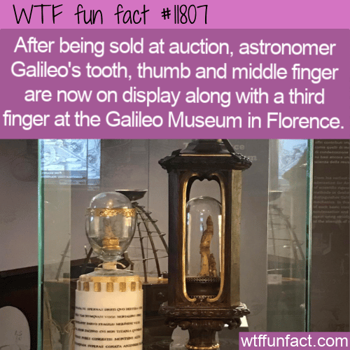 WTF Fun Fact - Galileo's Fingers On Display
