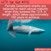 WTF Fun Fact – Late Sexual Maturity