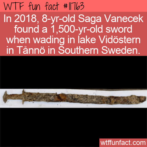 WTF Fun Fact - Pre-Viking Sword