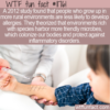 WTF Fun Fact – Rural Environment Best For Allergies