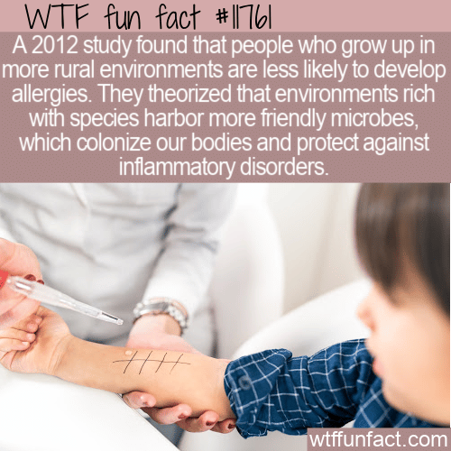 WTF Fun Fact - Rural Environment Best For Allergies