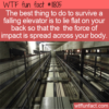WTF Fun Fact – Survive A Falling Elevator