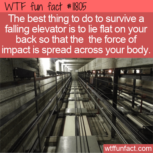 WTF Fun Fact - Survive A Falling Elevator