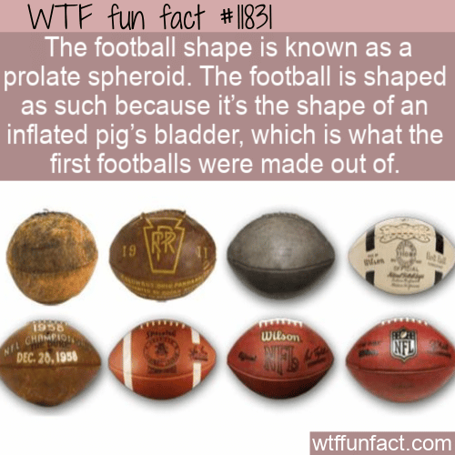 WTF Fun Fact - Football _ Prolate Spheroid