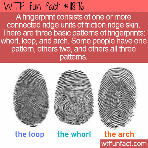 WTF Fun Fact - Friction Ridge Skin