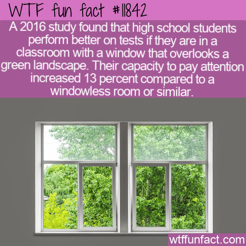 WTF Fun Fact - Green Landscape Helps Students