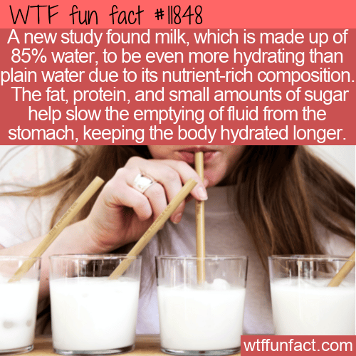 WTF Fun Fact - Milk Hydrates Better Than Plain Water