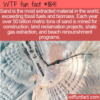 WTF Fun Fact – Most Extracted Material In The World