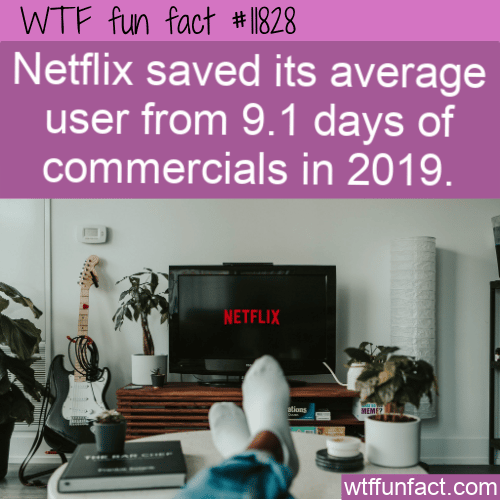 WTF Fun Fact - Netflix Commercial Savings