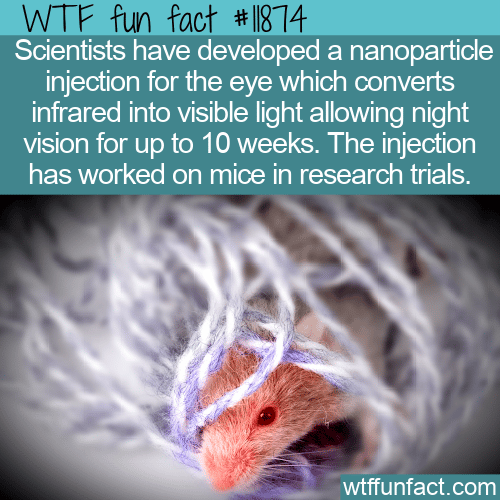 WTF Fun Fact - Night Vision From Nanoparticles