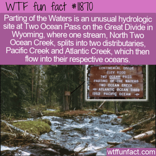 WTF Fun Fact - Parting Of The Waters at Two Ocean Pass