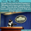 WTF Fun Fact – Presidents Without Pets