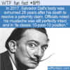 WTF Fun Fact – Salvador Dali’s Beard 28 Years Later