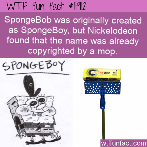 WTF Fun Fact - SpongeBoy