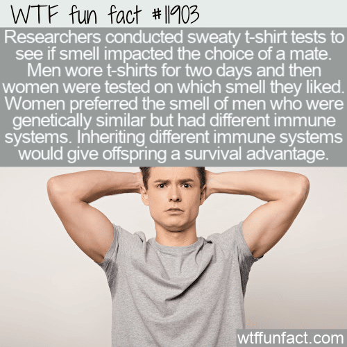 WTF Fun Fact - Sweaty T-shirt Test