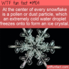 WTF Fun Fact – What’s At The Center Of  A Snowflake?