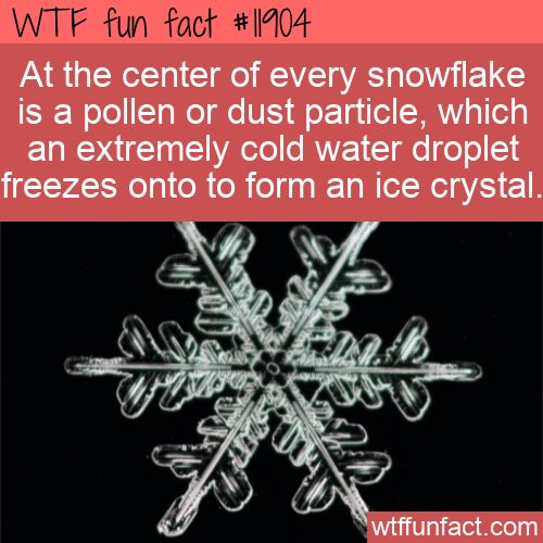 WTF Fun Fact - What's At The Center Of A Snowflake_