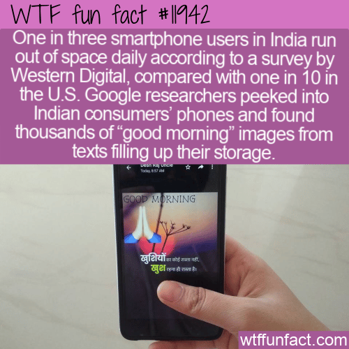 WTF Fun Fact - Good Morning MMS