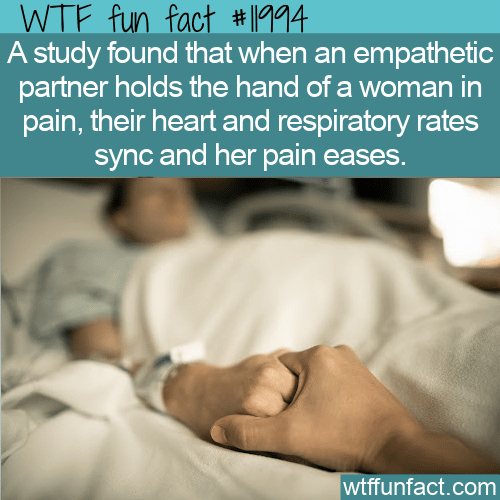 WTF Fun Fact - Holding Hands Helps
