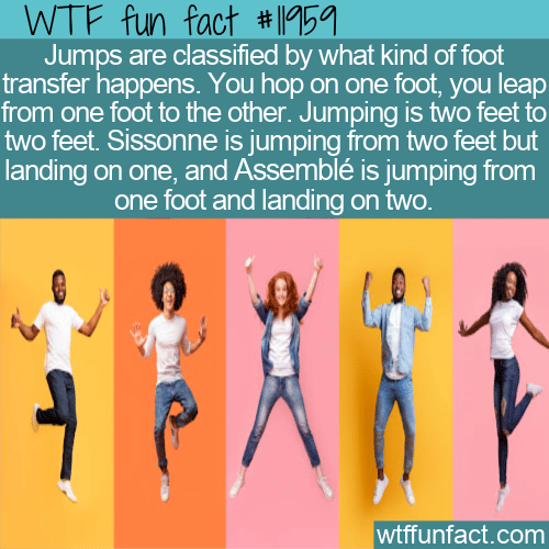 WTF Fun Fact - Jump Jump