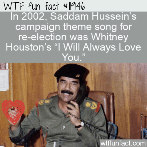 WTF Fun Fact - Saddam Will Always Love You