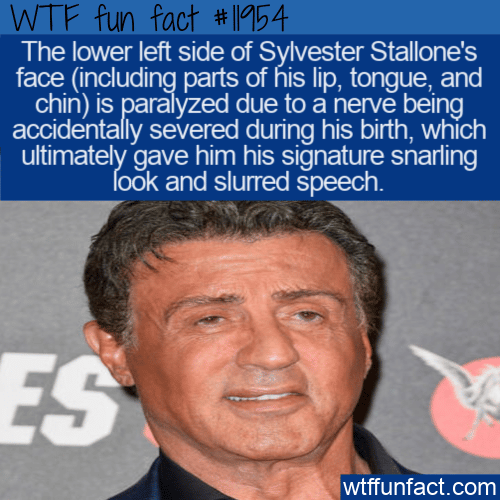 WTF Fun Fact - Stallone's Signature Snarl And Slur