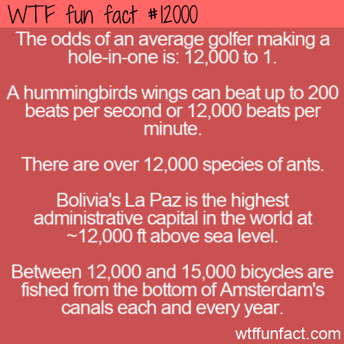 WTF Fun Fact - 12000 Facts