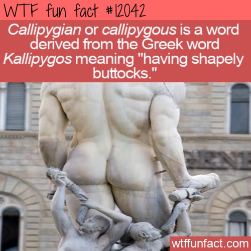 WTF Fun Fact - Callipygian