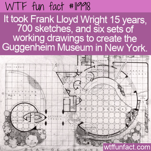 WTF Fun Fact - Guggenheim Museum Design Details