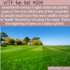 WTF Fun Fact – Lawns As A Status Symbol