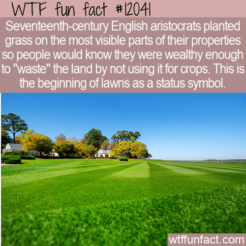 WTF Fun Fact - Lawns As A Status Symbol