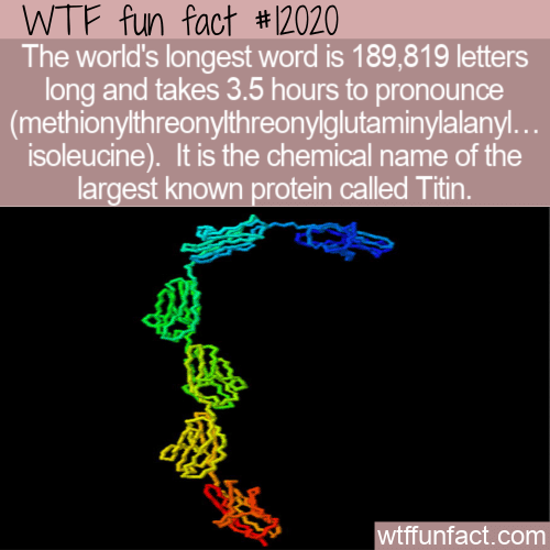 WTF Fun Fact - World's Longest Word