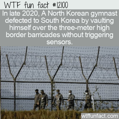 WTF Fun Fact - How A Gymnast Defects