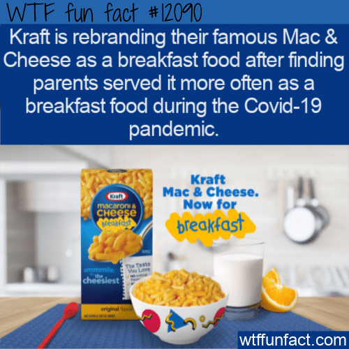WTF Fun Fact - Kraft Mac & Cheese Breakfast