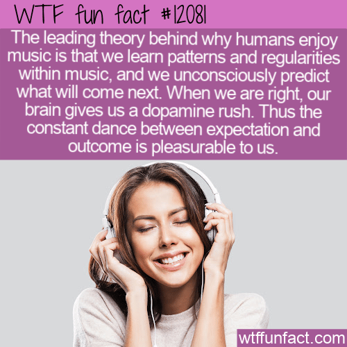 WTF Fun Fact - Why Humans Enjoy Music